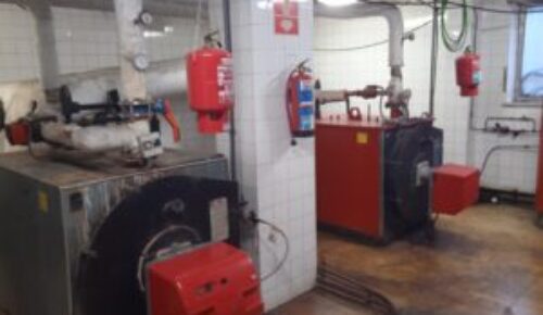 Drafting of projects for the replacement of natural gas or diesel boilers with biomass boilers